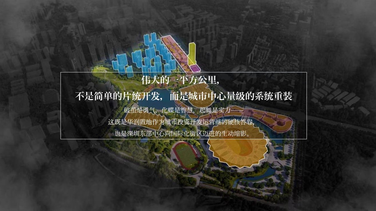华润大运悦府